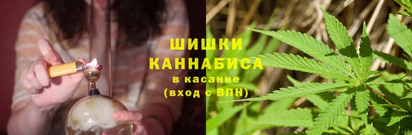 ГАЛЛЮЦИНОГЕННЫЕ ГРИБЫ Уссурийск