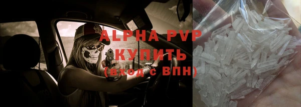 PSILOCYBIN Покров