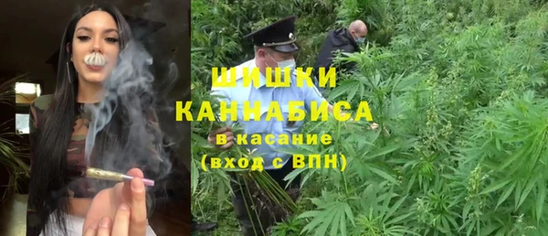 дмт Мегион