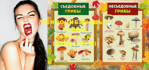 MESCALINE Медвежьегорск