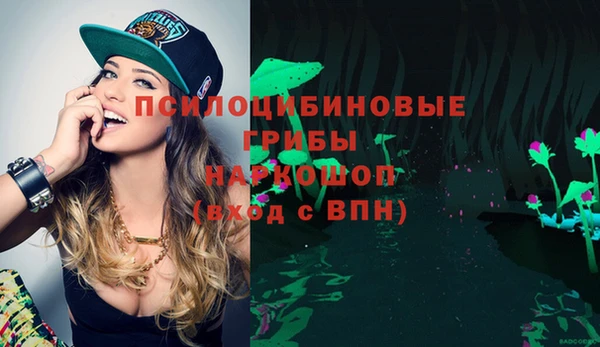 дмт Мегион
